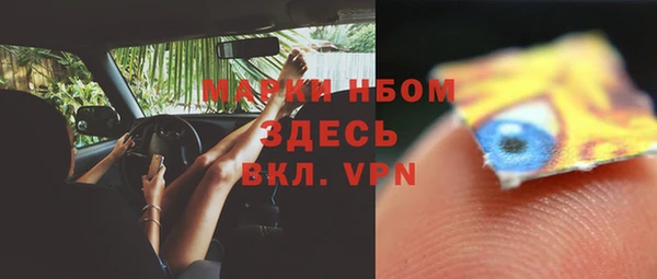 прущие грибы Заводоуковск
