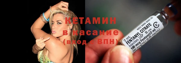 прущие грибы Гусиноозёрск